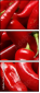 14895292