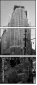 15231811