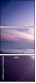 1556608