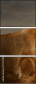 17277699