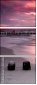 22254087