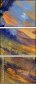 22935506