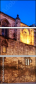 23156604