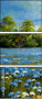23864267