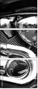 23943904