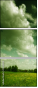 24481115