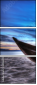 24586255