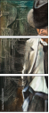 25062191