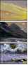 25137835