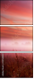 25769240