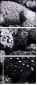 25878336