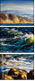 25936119