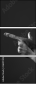 26417303