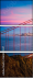 264880447