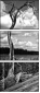 26523822