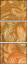 265907570