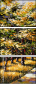 26973667