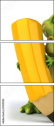 27501595