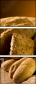 2788091