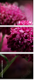 28158442