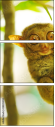 28835304