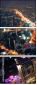 28886191