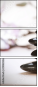 29082526