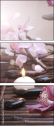 29087666
