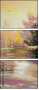 29135500