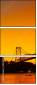 293004009