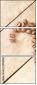29468383