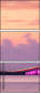 299813537