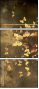 30149224
