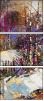 30278579