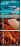 306790577