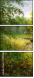 31192484