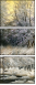 31192529