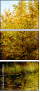 31192644