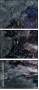 31219090