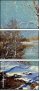 31222456