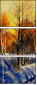31227240