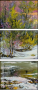 31858874
