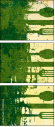31995653