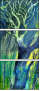 32752870