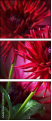 34304958