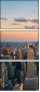34501514