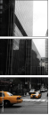 3629427