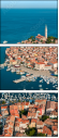37043331