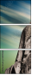 38998261