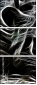 39837921